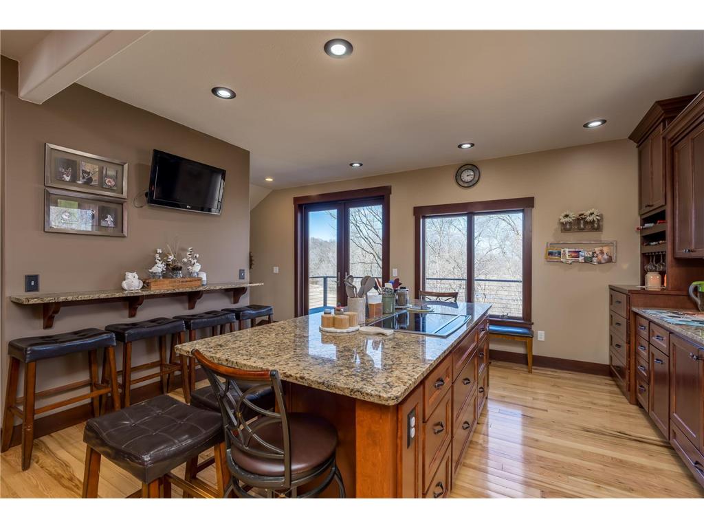 24352 474th Lane Elysian Twp MN 56028 - Swede's Bay 6775568 image31