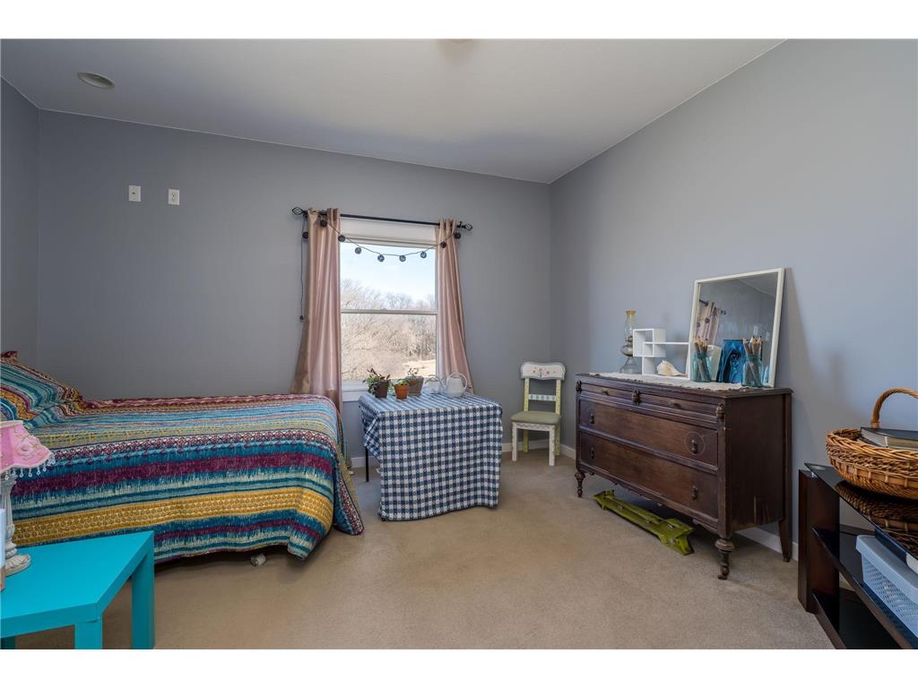 24352 474th Lane Elysian Twp MN 56028 - Swede's Bay 6775568 image40