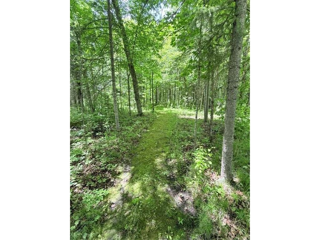 24353 Hines Road NE Hines Twp MN 56647 7093760 image4