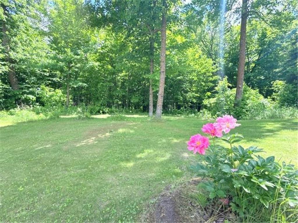 24353 Hines Road NE Hines Twp MN 56647 7093760 image7