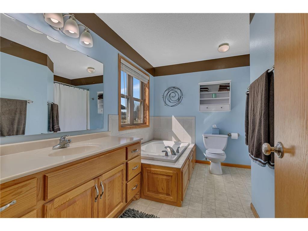 24364 19th Avenue Saint Augusta MN 56301 7042723 image12