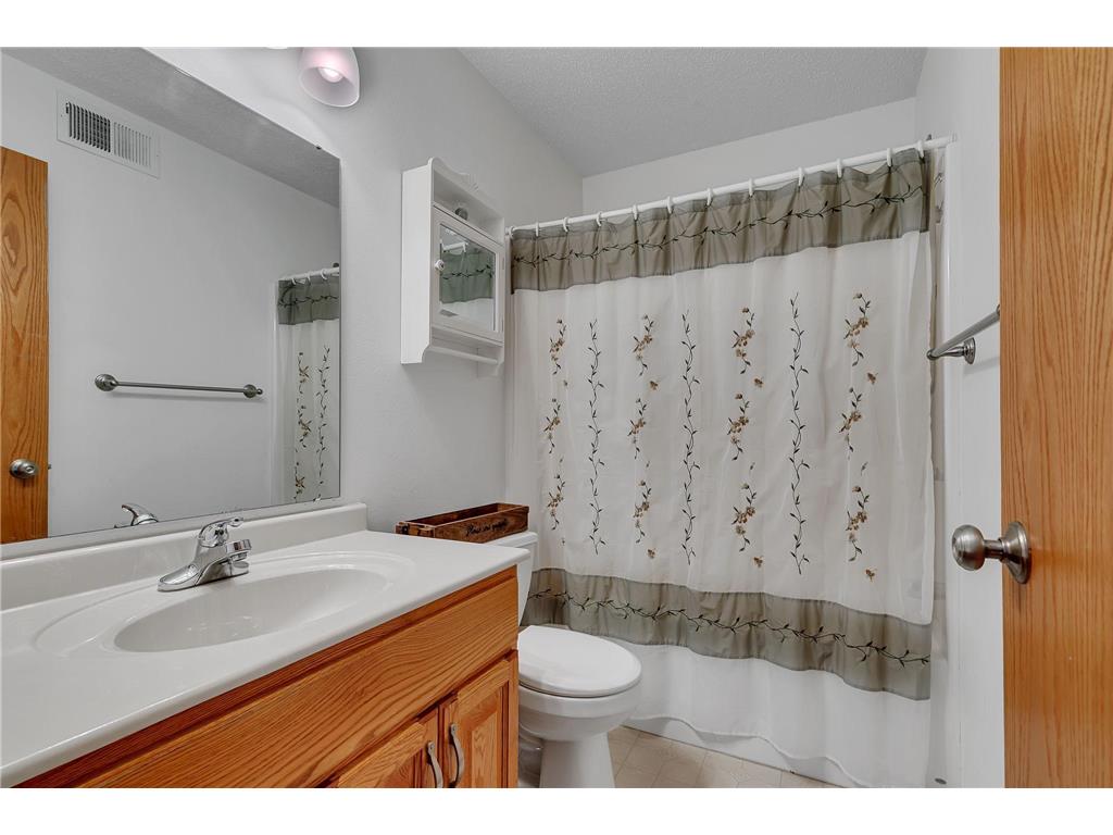 24364 19th Avenue Saint Augusta MN 56301 7042723 image14