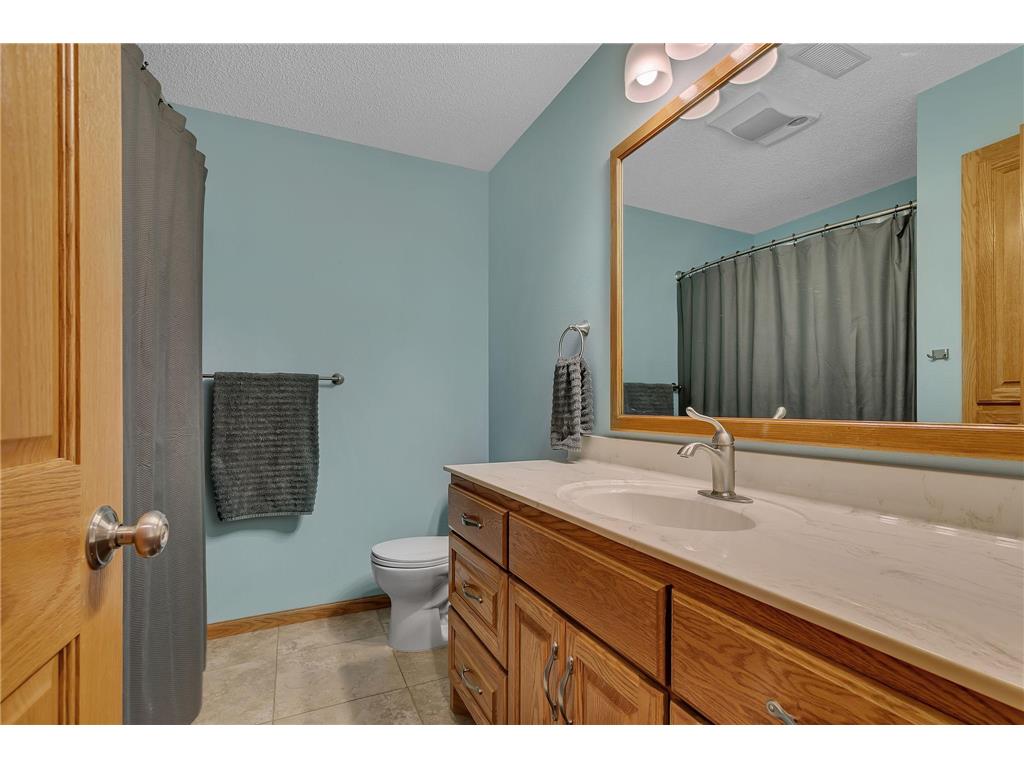 24364 19th Avenue Saint Augusta MN 56301 7042723 image21