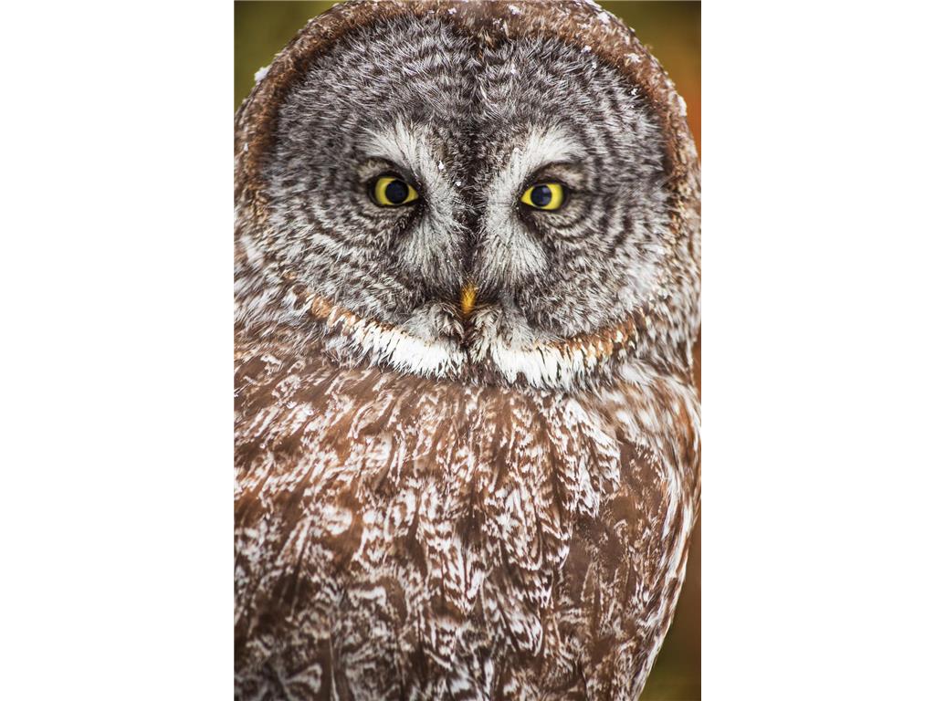 2437 Hwy 3 Two Harbors MN 55616 7015409 image23