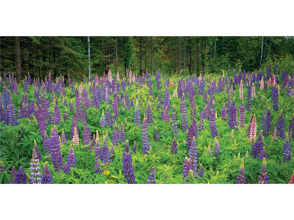 2437 Hwy 3 Two Harbors MN 55616 7015409 image25