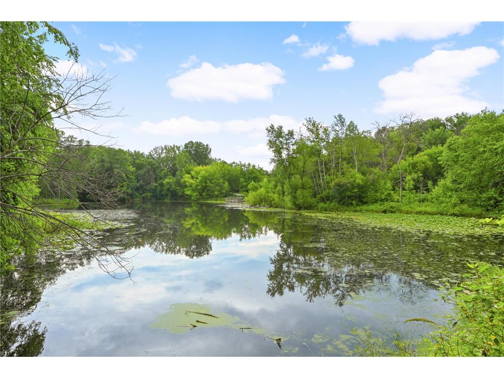 2437 Sunset Court Little Canada MN 55117 7047736 image61