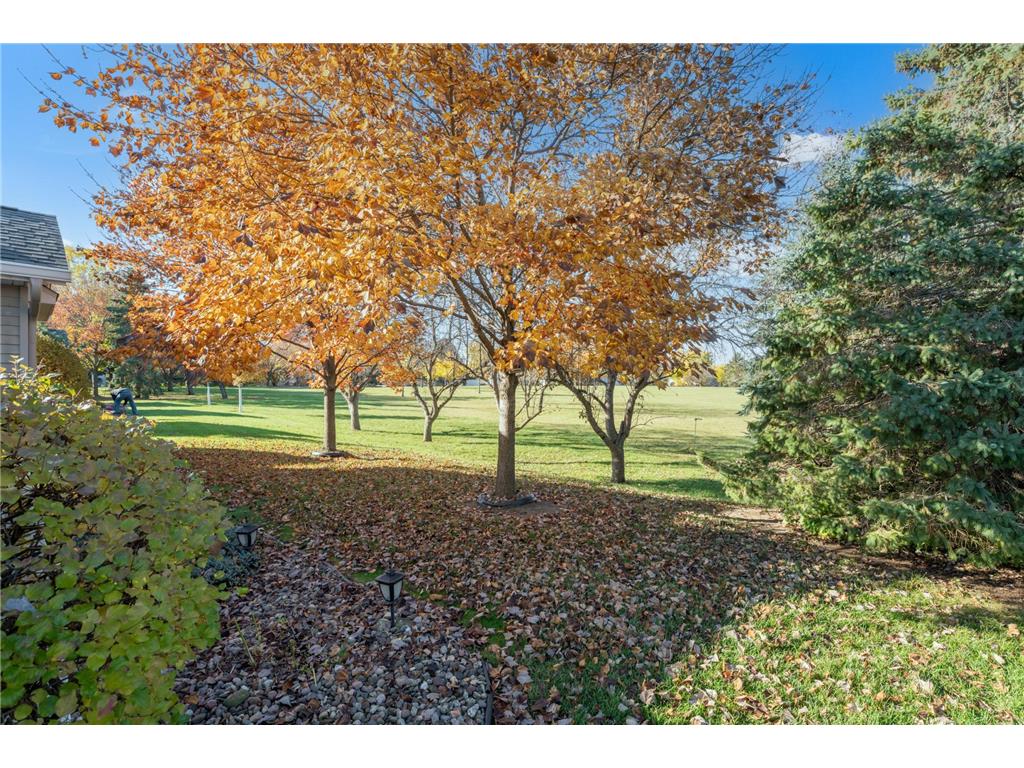 2437 Viola Heights Drive NE Rochester MN 55906 6810398 image44