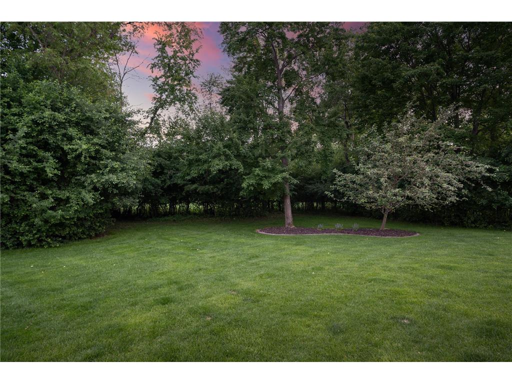 2438 129th Court NE Blaine MN 55449 7076990 image102