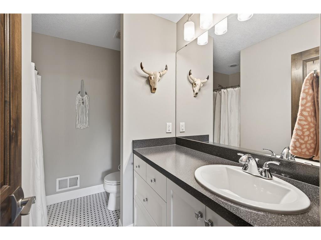 2438 129th Court NE Blaine MN 55449 7076990 image59