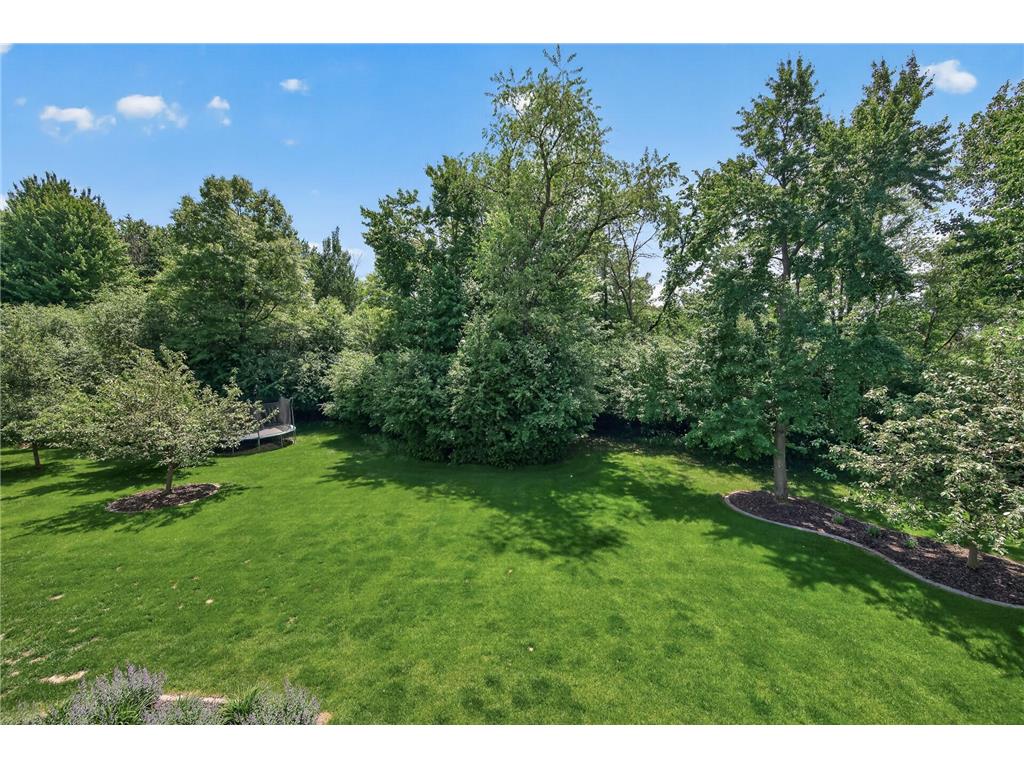 2438 129th Court NE Blaine MN 55449 7076990 image90