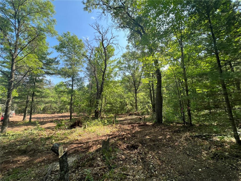 24382 Borg Road Grantsburg WI 54840 6380779 image1