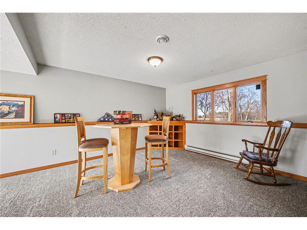 24391 Panama Avenue Cedar Lake Twp MN 55020 7056183 image28