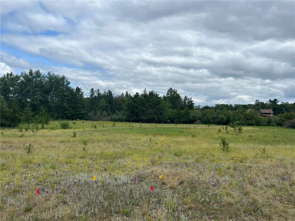 24421 Fishtrap Road Nisswa MN 56468 6403213 image1