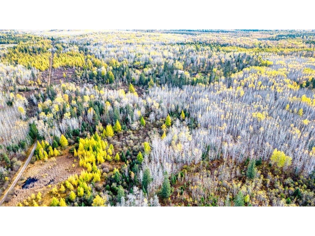 2446 NE Grade Road Fairbanks Twp MN 55602 6805283 image46