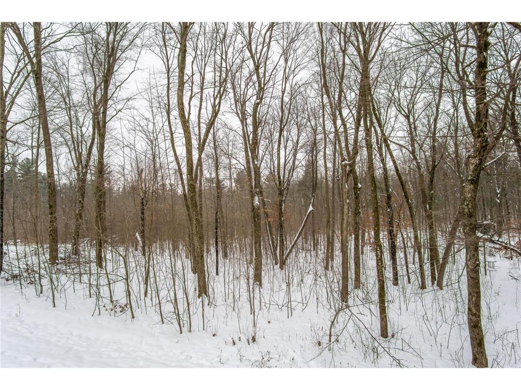 2447 50th Avenue Eau Galle WI 54028 6821707 image12