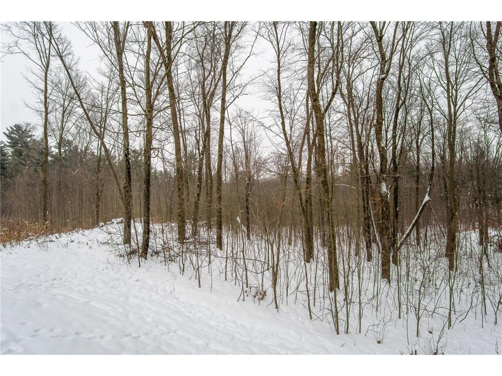 2447 50th Avenue Eau Galle WI 54028 6821707 image13