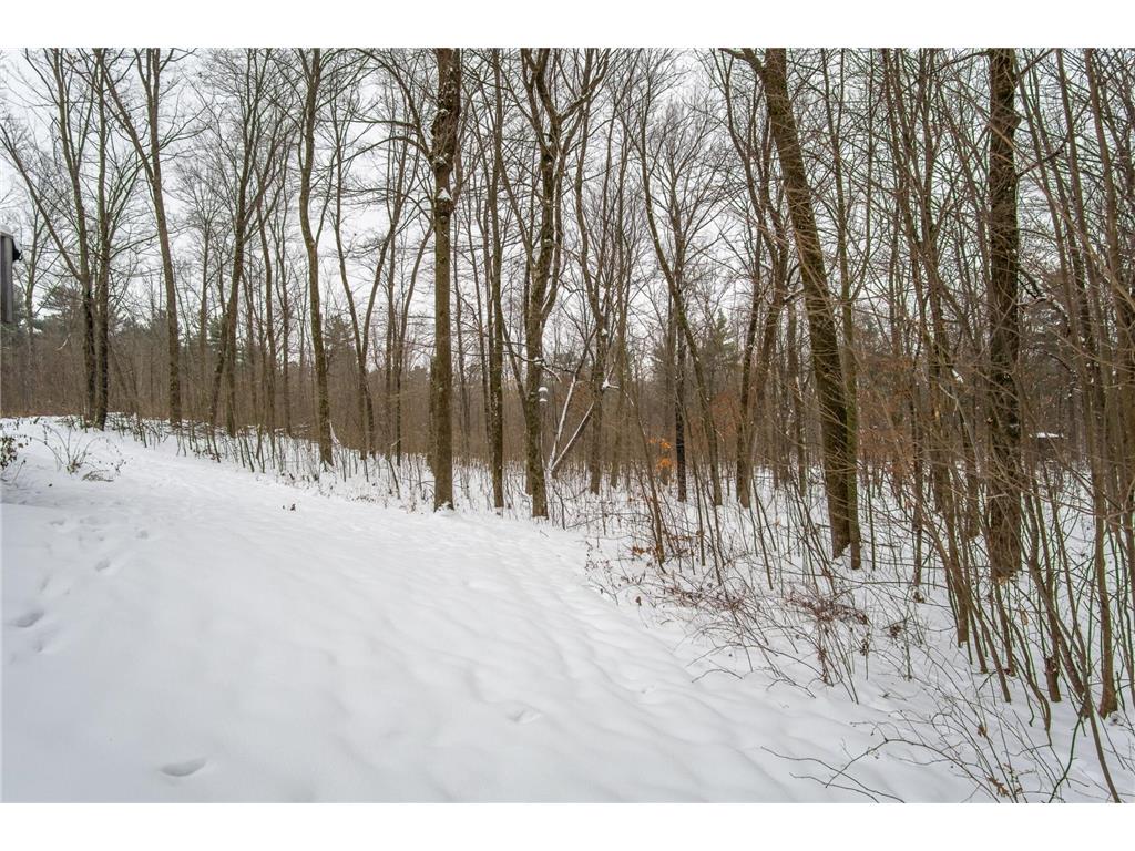 2447 50th Avenue Eau Galle WI 54028 6821707 image7