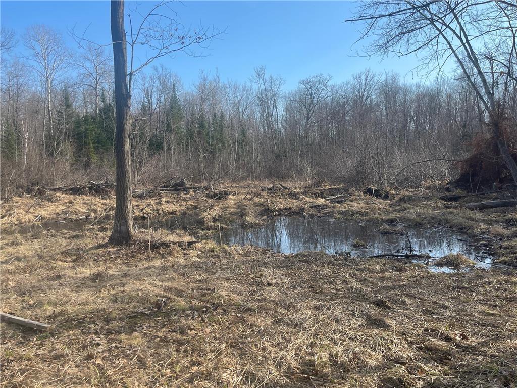 24478 Wooded Circle Finlayson MN 55735 7044675 image1