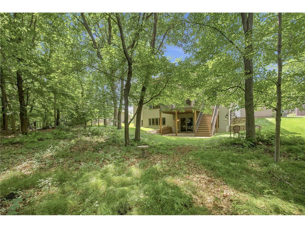 2448 132nd Avenue NE Blaine MN 55449 7103447 image57