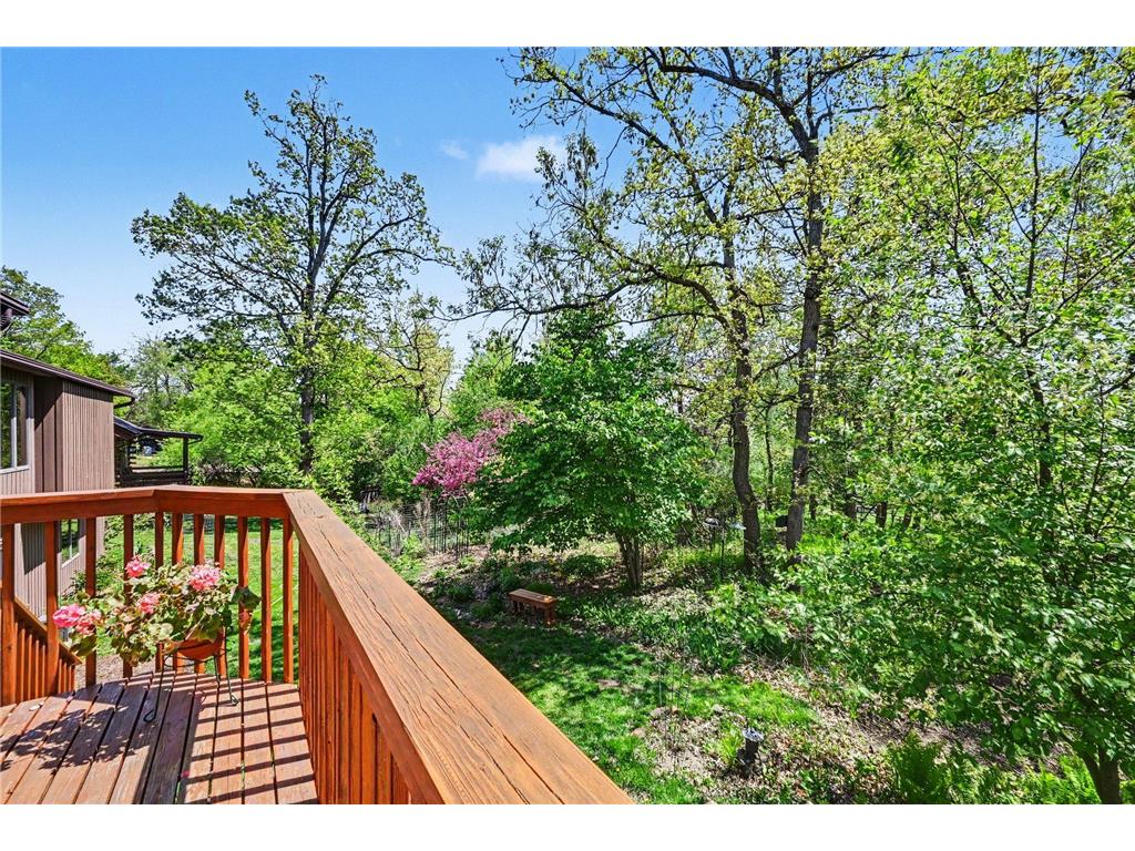 2448 Hallquist Avenue Red Wing MN 55066 7070441 image34
