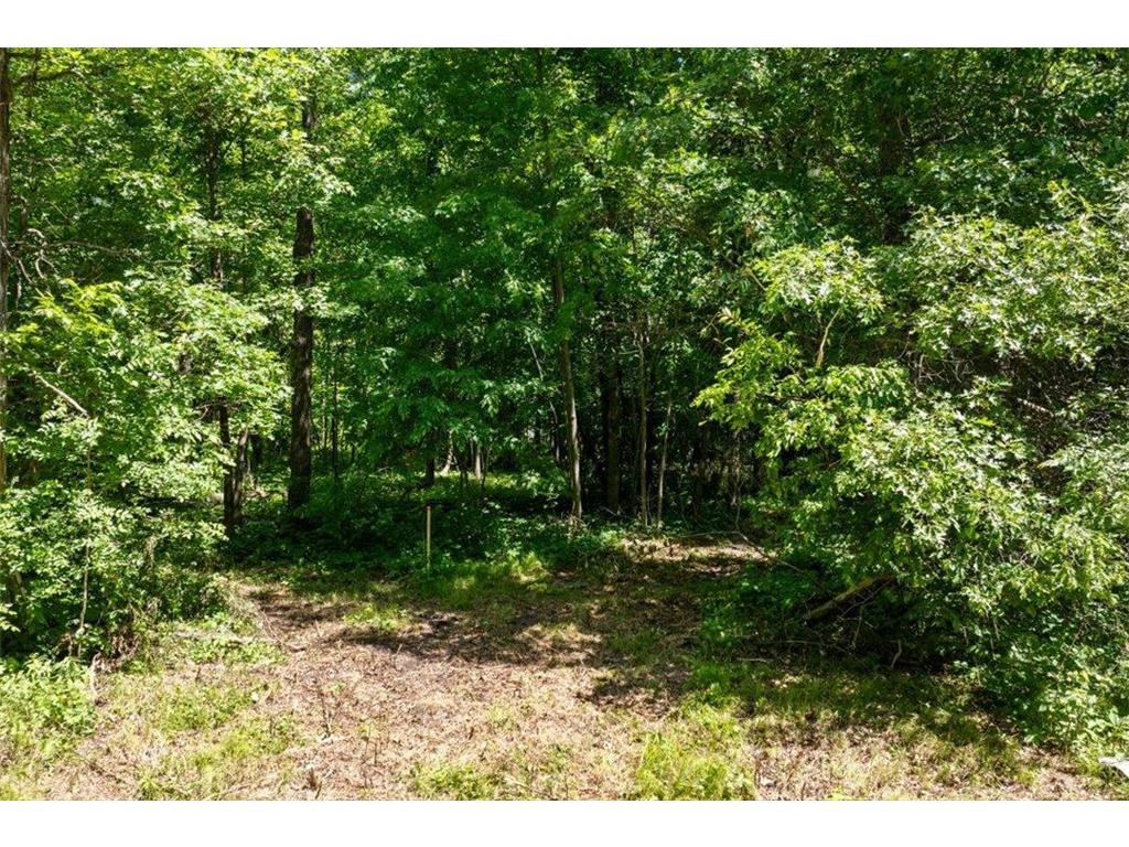 24490 County Road 19 Merrifield MN 56465 7092936 image17