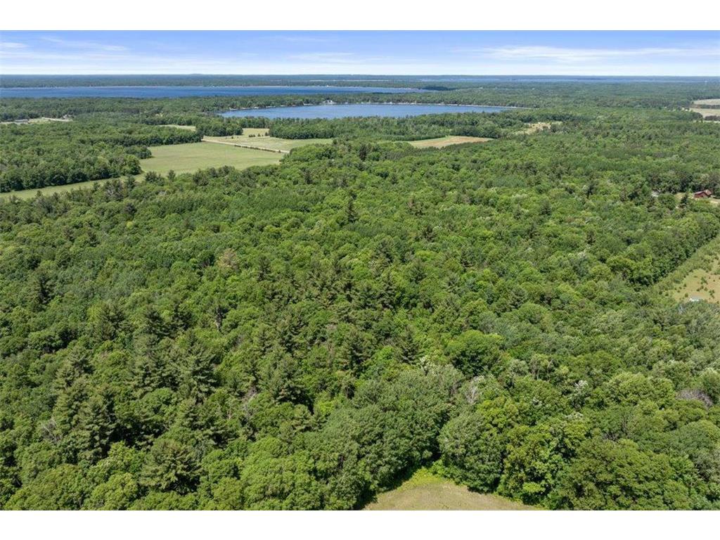 24490 County Road 19 Merrifield MN 56465 7092936 image18