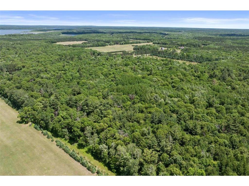 24490 County Road 19 Merrifield MN 56465 7092936 image19