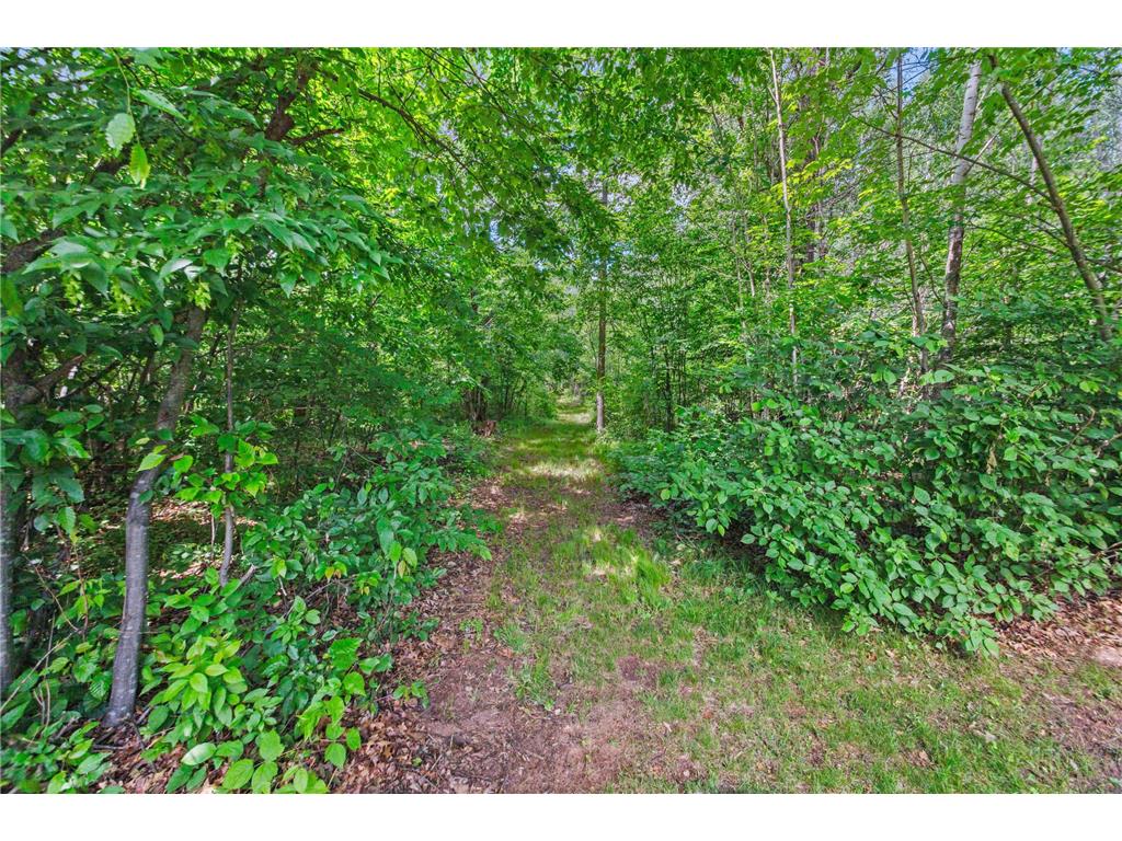 24493 County Road X La Follette Twp WI 54871 7093866 image28
