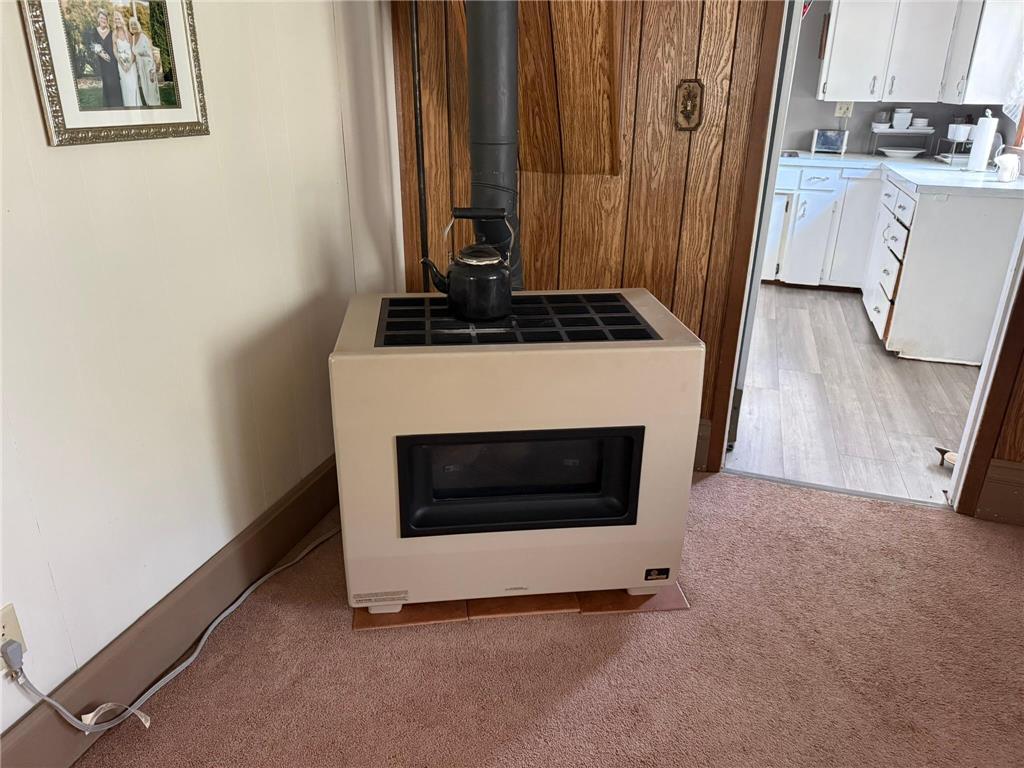 245 5th Avenue NE Blooming Prairie MN 55917 7085250 image11
