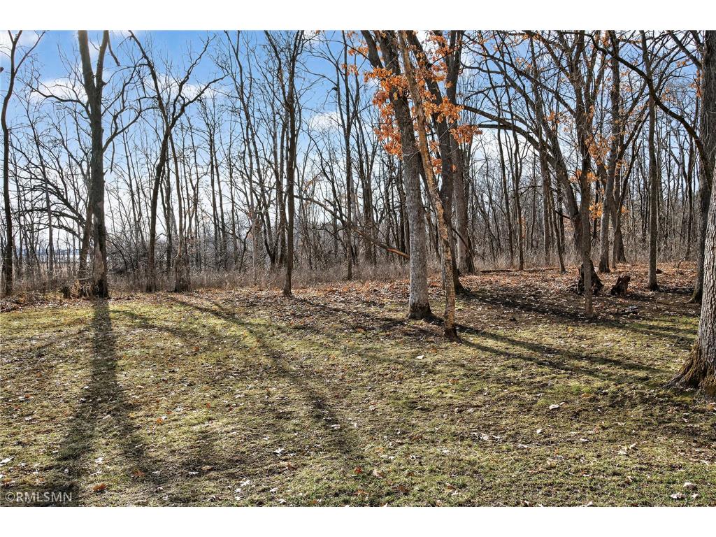 245 Dwinnell Avenue Mahtomedi MN 55115 7042152 image49