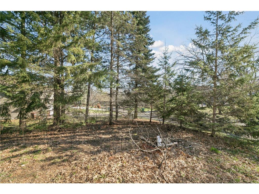 245 Iris Street Mahtomedi MN 55115 7056246 image6