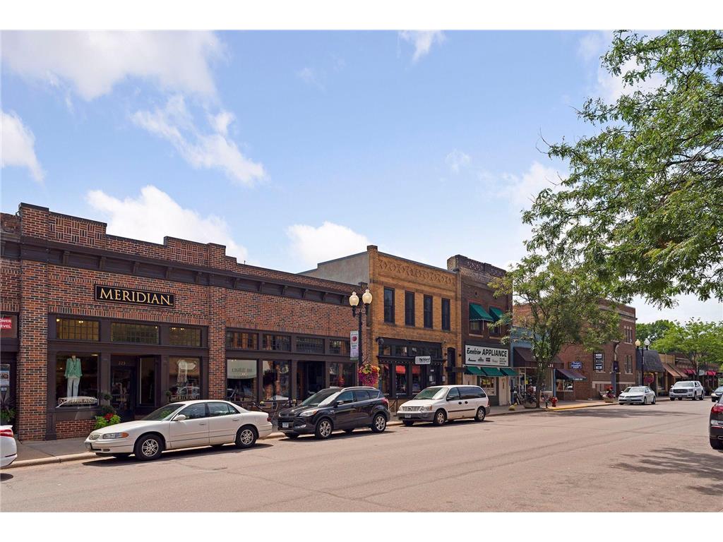 245 Lakeview Avenue Tonka Bay MN 55331 - Lake Minnetonka 7017958 image54