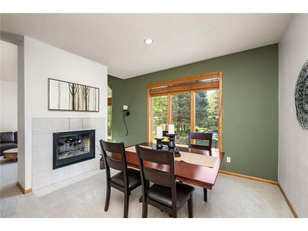 245 Luisa Court Chaska MN 55318 7081225 image10