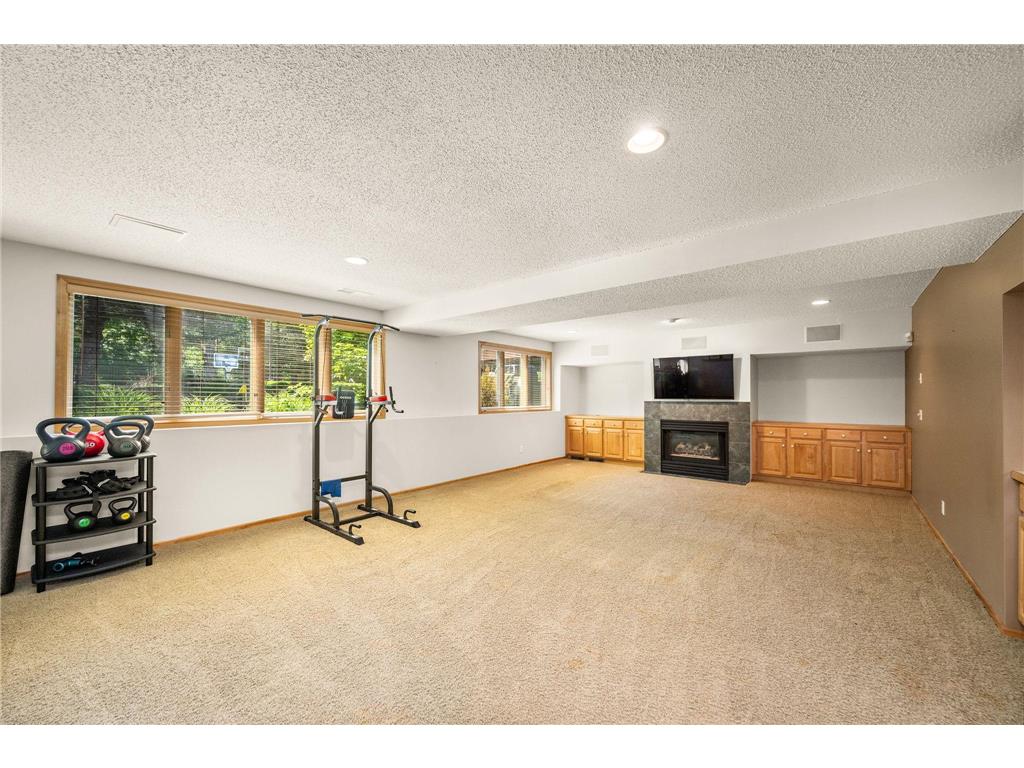 245 Luisa Court Chaska MN 55318 7081225 image21