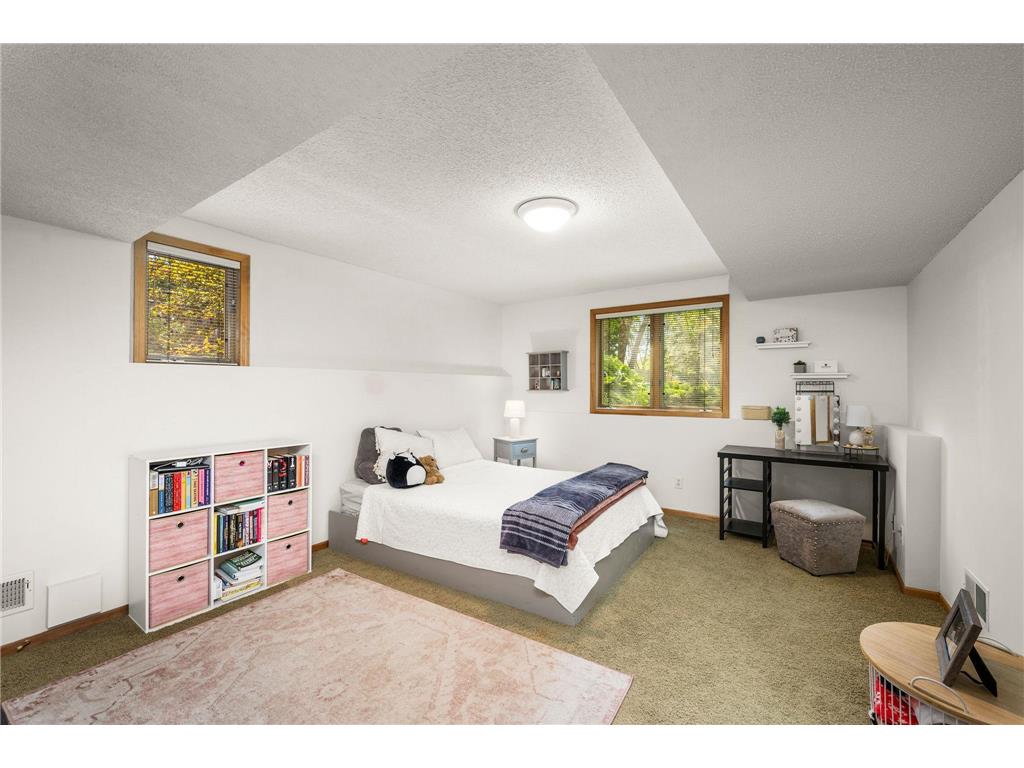 245 Luisa Court Chaska MN 55318 7081225 image24