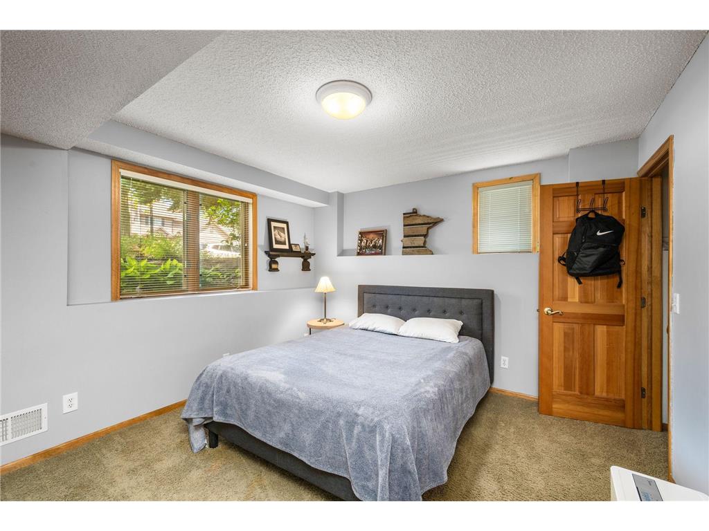 245 Luisa Court Chaska MN 55318 7081225 image25