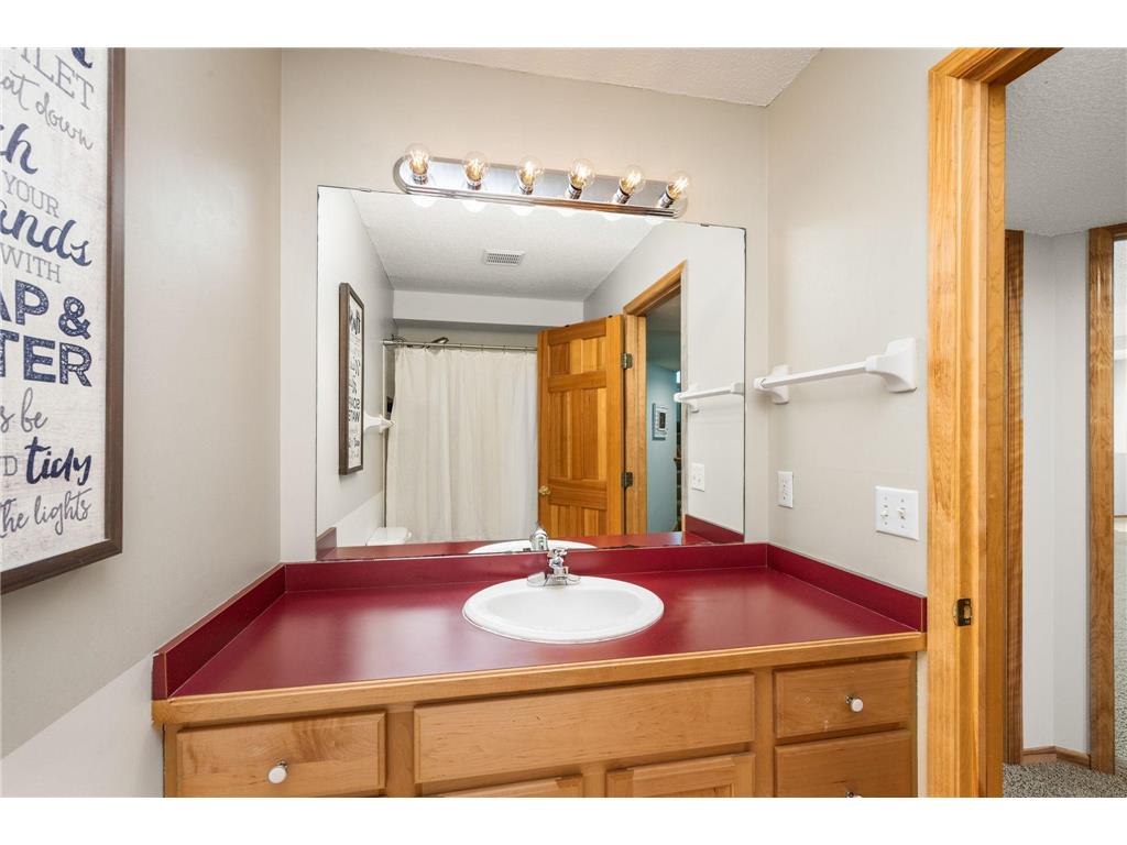 245 Luisa Court Chaska MN 55318 7081225 image28