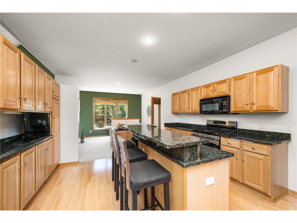 245 Luisa Court Chaska MN 55318 7081225 image7