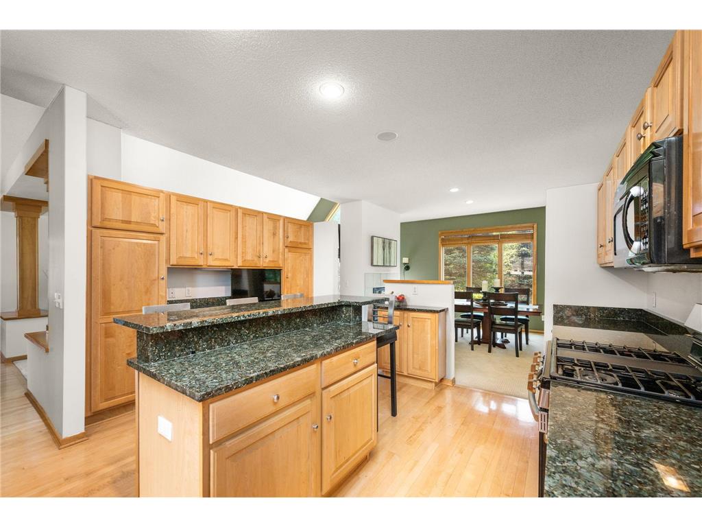 245 Luisa Court Chaska MN 55318 7081225 image8