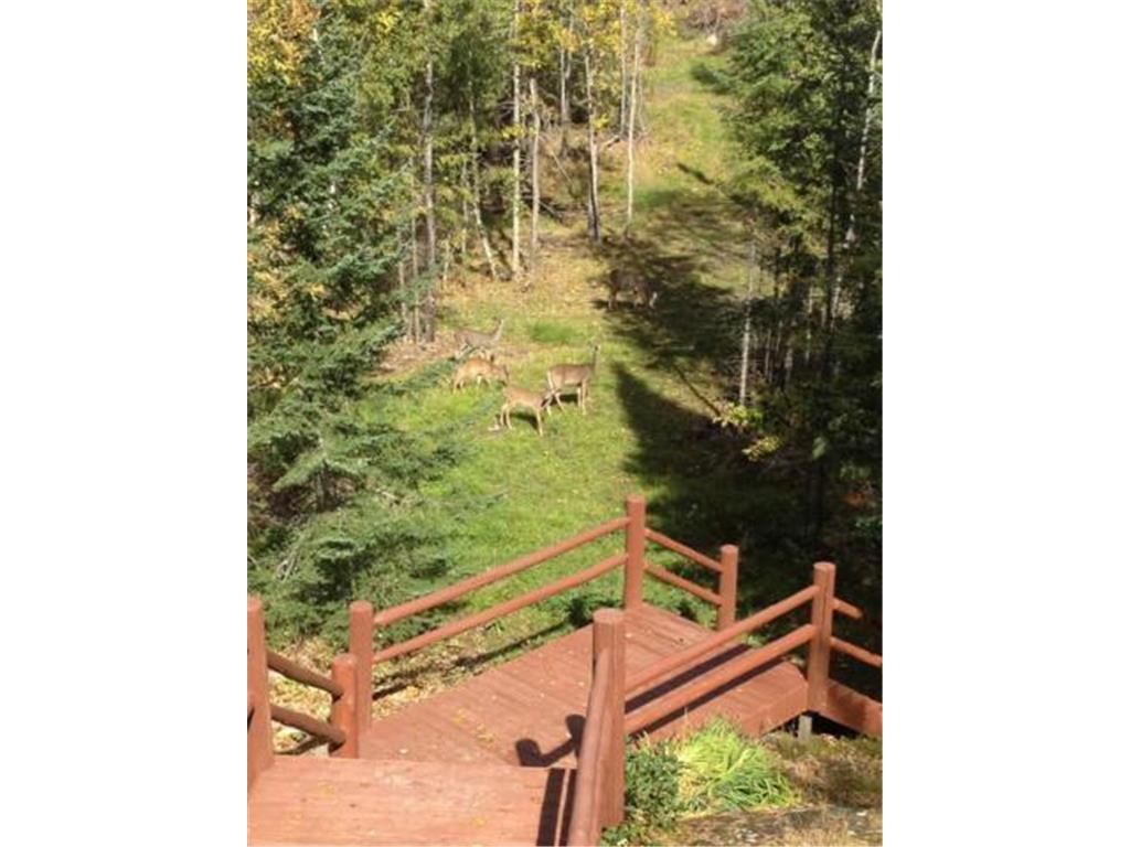 2450 Keyes Island International Falls MN 56649 - Rainy 7007731 image20