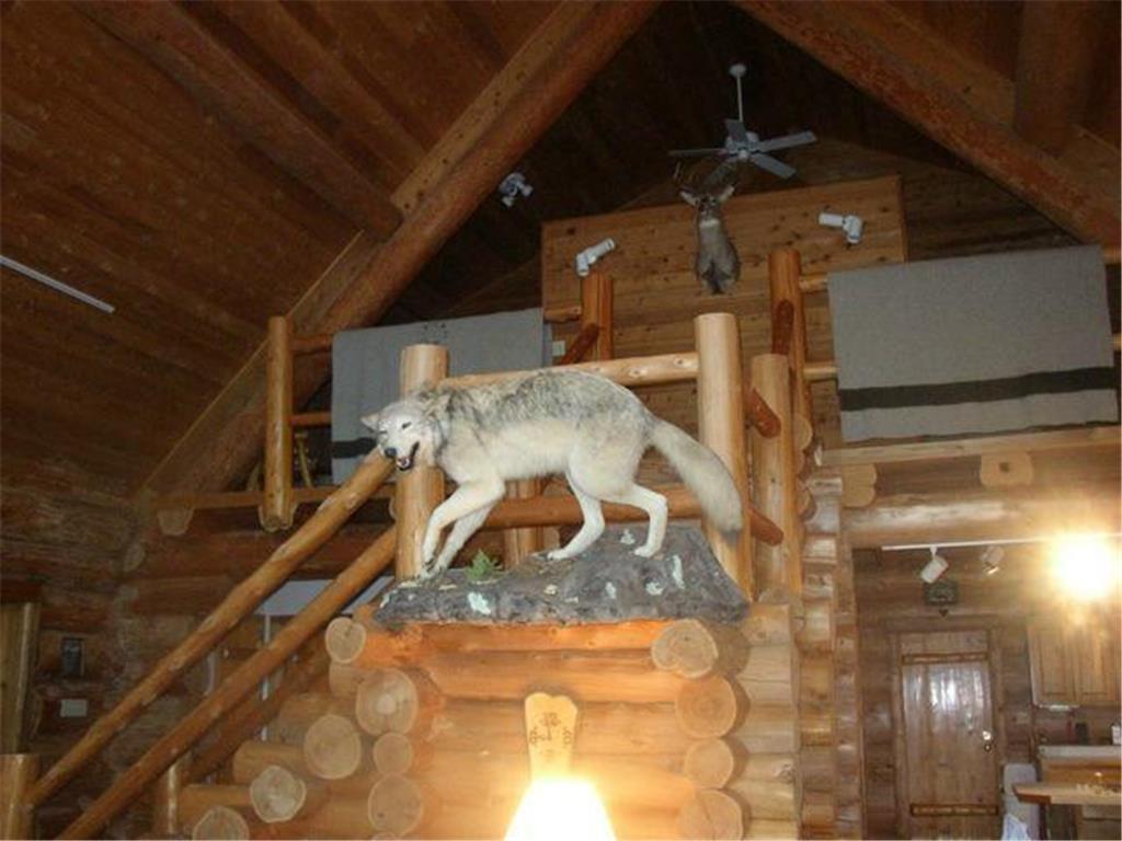 2450 Keyes Island International Falls MN 56649 - Rainy 7007731 image7