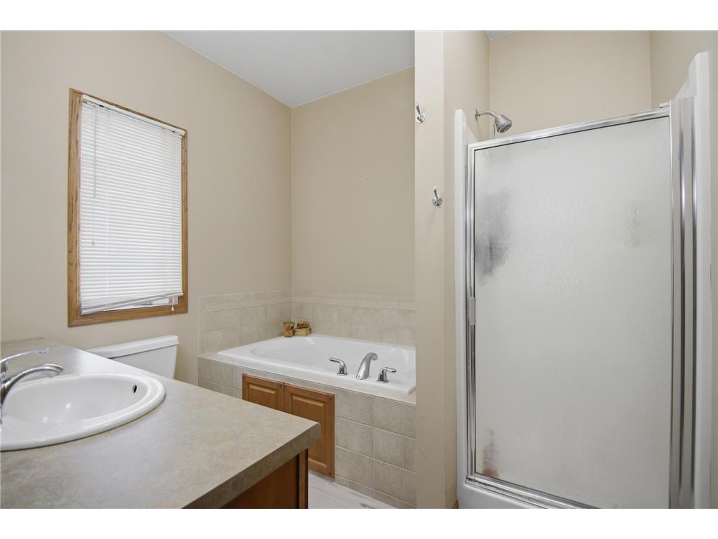 2450 Mossy Creek Drive NE Owatonna MN 55060 7111029 image19