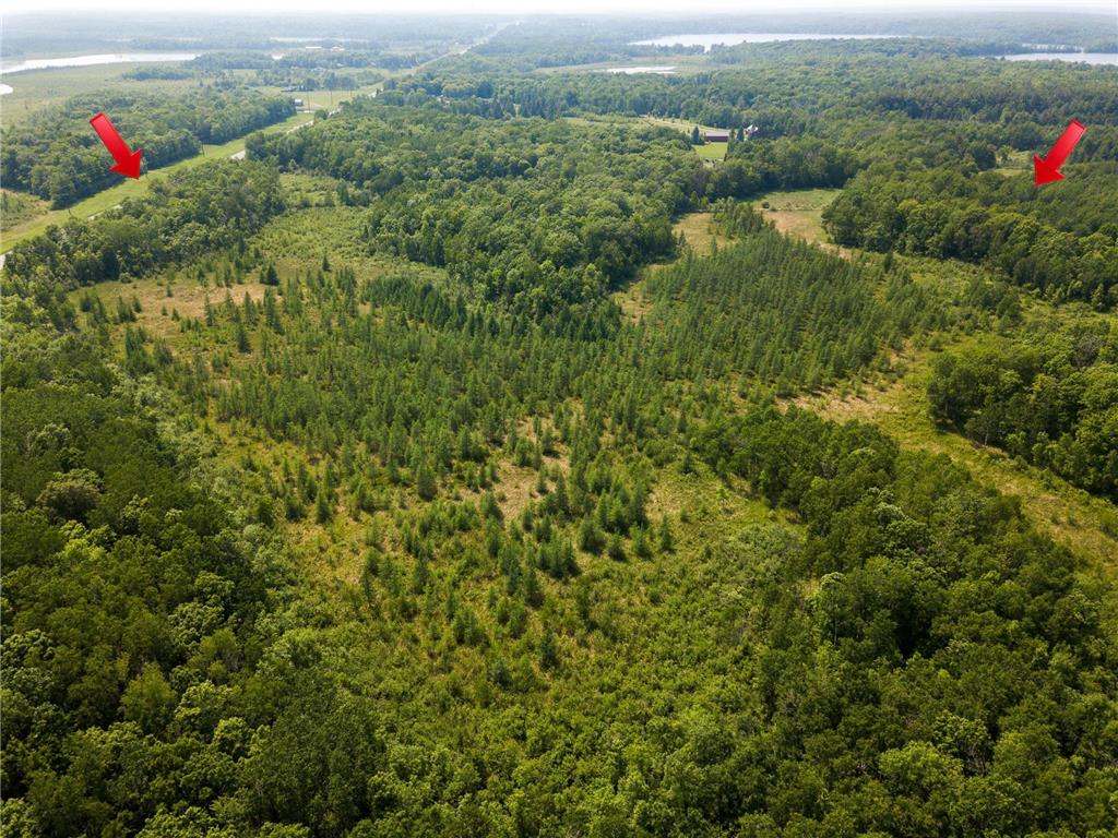 24504 State Highway 18 Bay Lake Twp MN 56444 7042217 image18