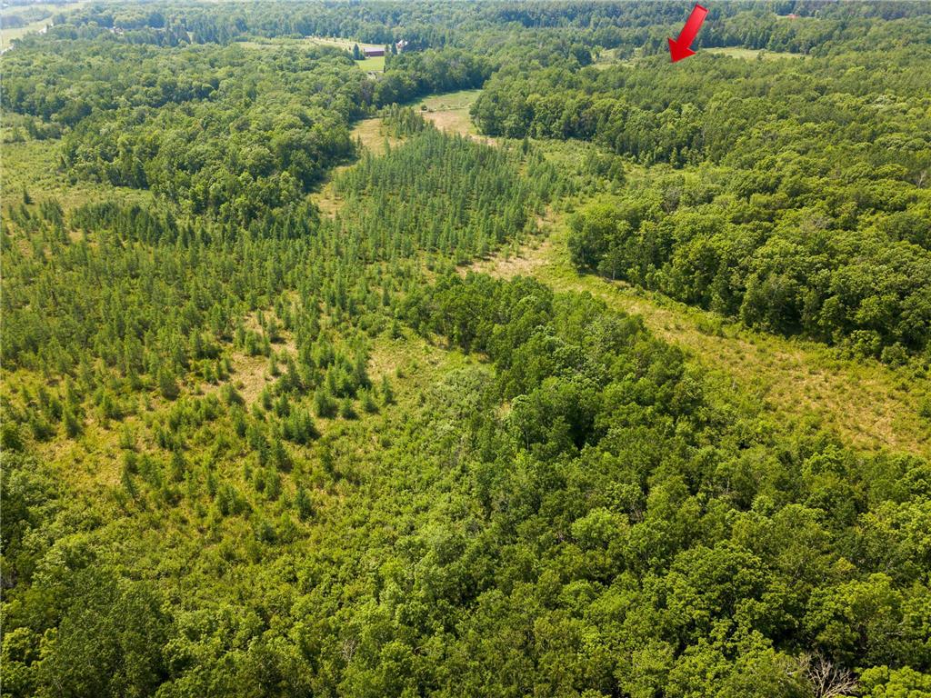 24504 State Highway 18 Bay Lake Twp MN 56444 7042217 image3