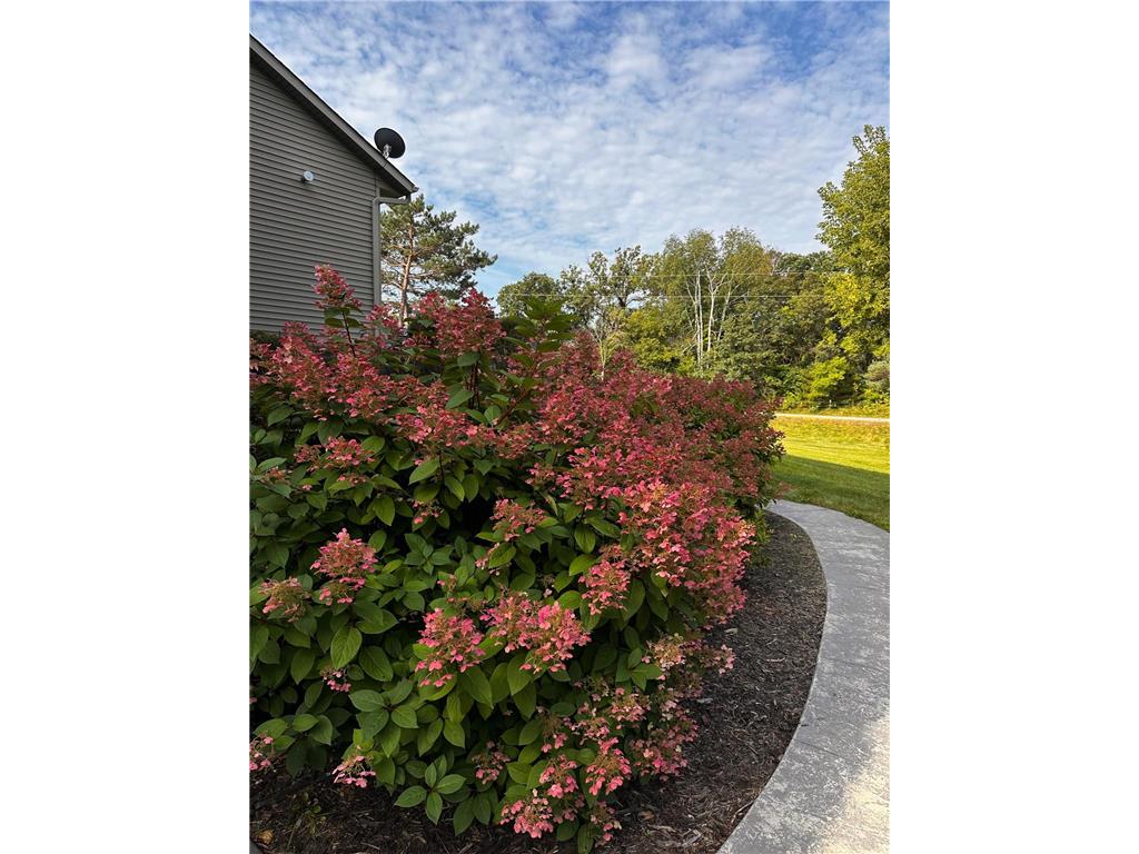 24525 112th Street NW Livonia Twp MN 55398 7046874 image39