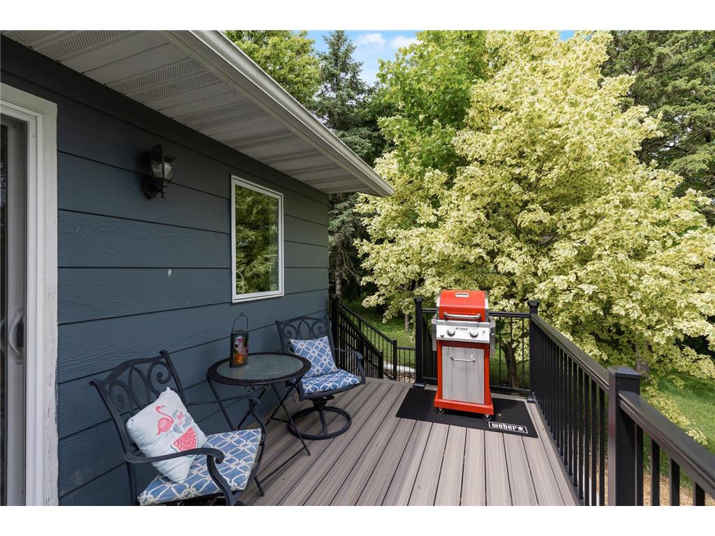 24531 Cedar Point Road Cedar Lake Twp MN 56071 - Cedar 6795192 image26