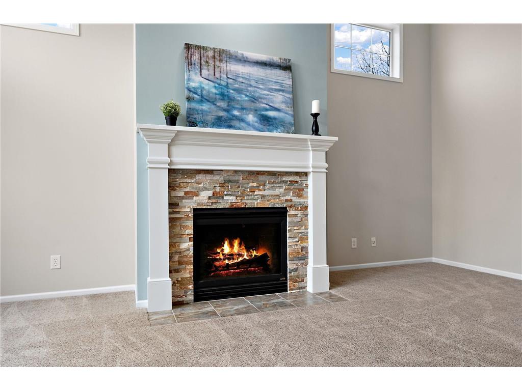 2454 Sandstone Place Woodbury MN 55129 7042924 image15