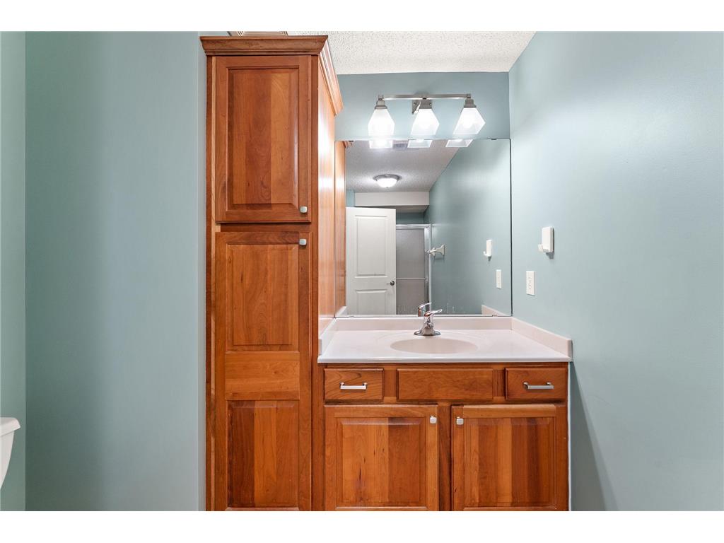 2454 Sandstone Place Woodbury MN 55129 7042924 image32