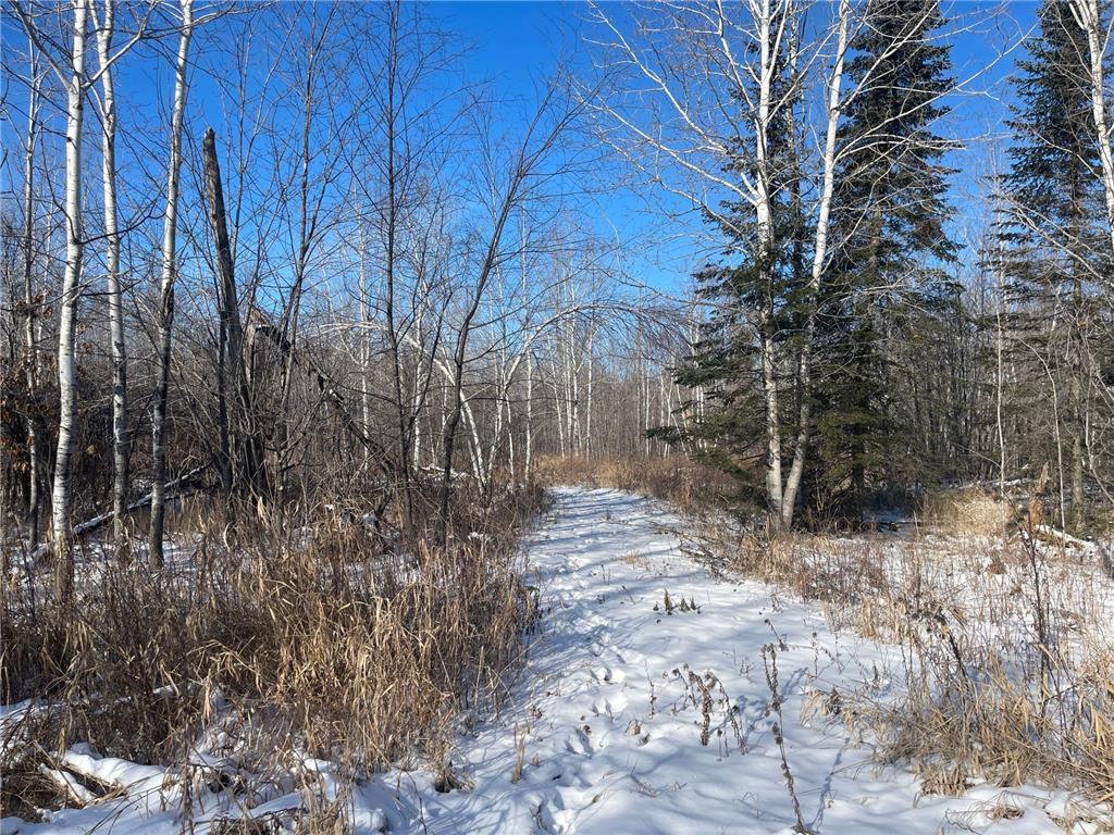 24541 Wooded Circle Finlayson MN 55735 6478275 image1