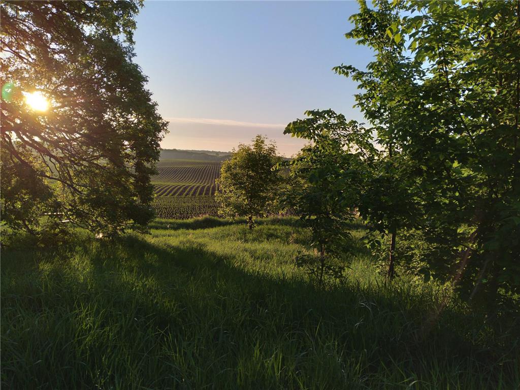 24543 County Highway 124 Dane Prairie Twp MN 56537 6814742 image4